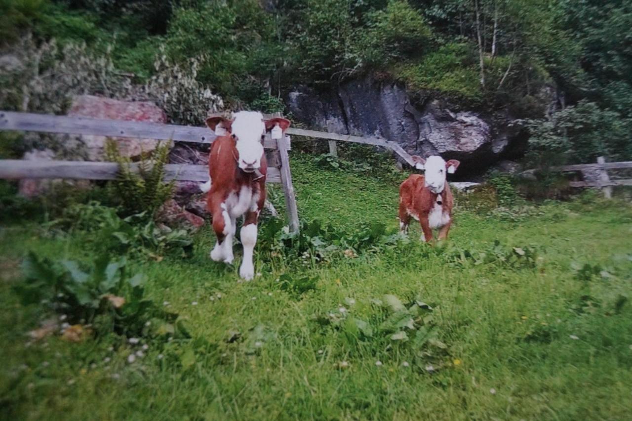 Krandlhof Leilighet Zell am Ziller Eksteriør bilde