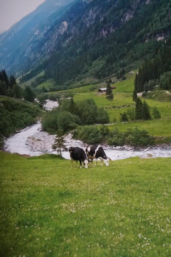 Krandlhof Leilighet Zell am Ziller Eksteriør bilde